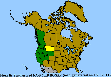 Erigeron l Range Map